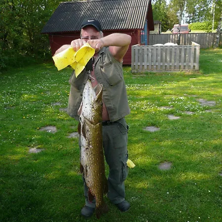 Egtved Camping Cottages 캠프장