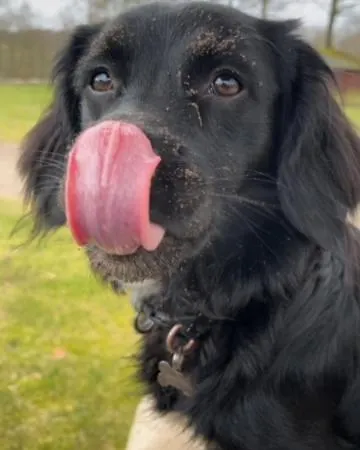 캠프장 Egtved Camping Cottages 엑트베드