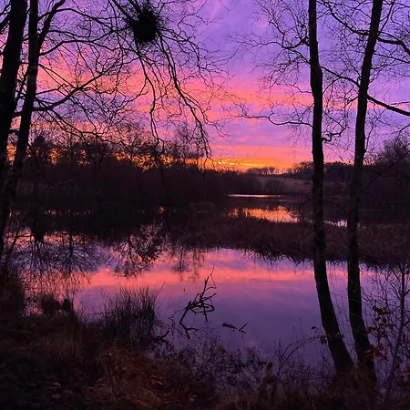 캠프장 Egtved Camping Cottages