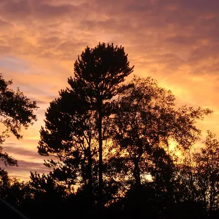 캠프장 Egtved Camping Cottages *